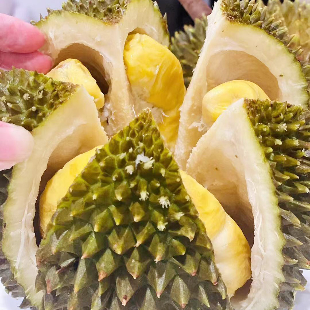 Dking-Musang-King-Durian---Large-Whole-Fruit,-1.7-1.8kg-1