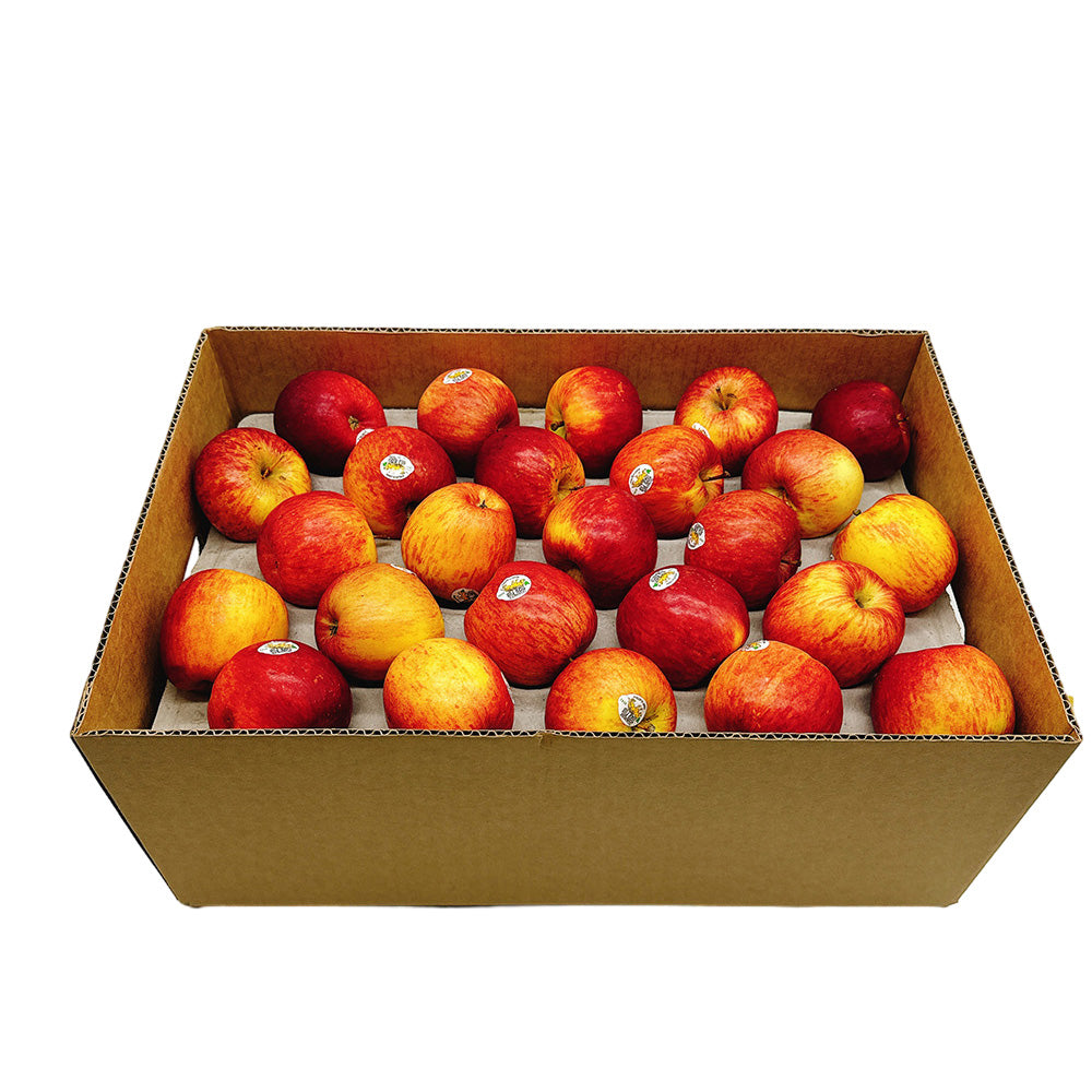 Tasmanian-Tiger-Fuji-Apples---Box-of-12.5kg-1