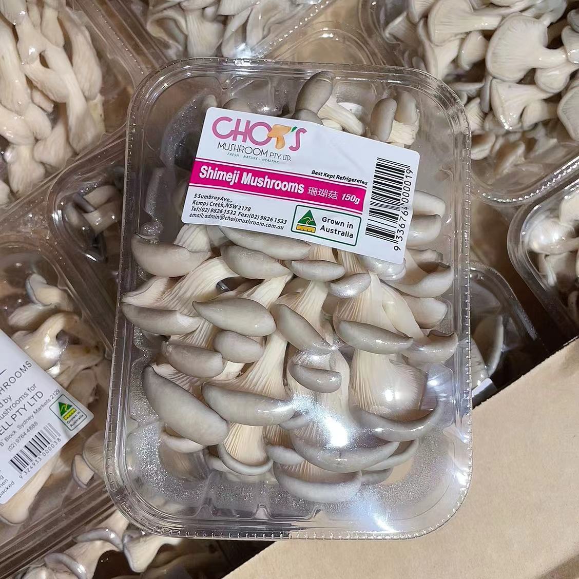 Chois-Shimeji-Mushrooms---150g-1