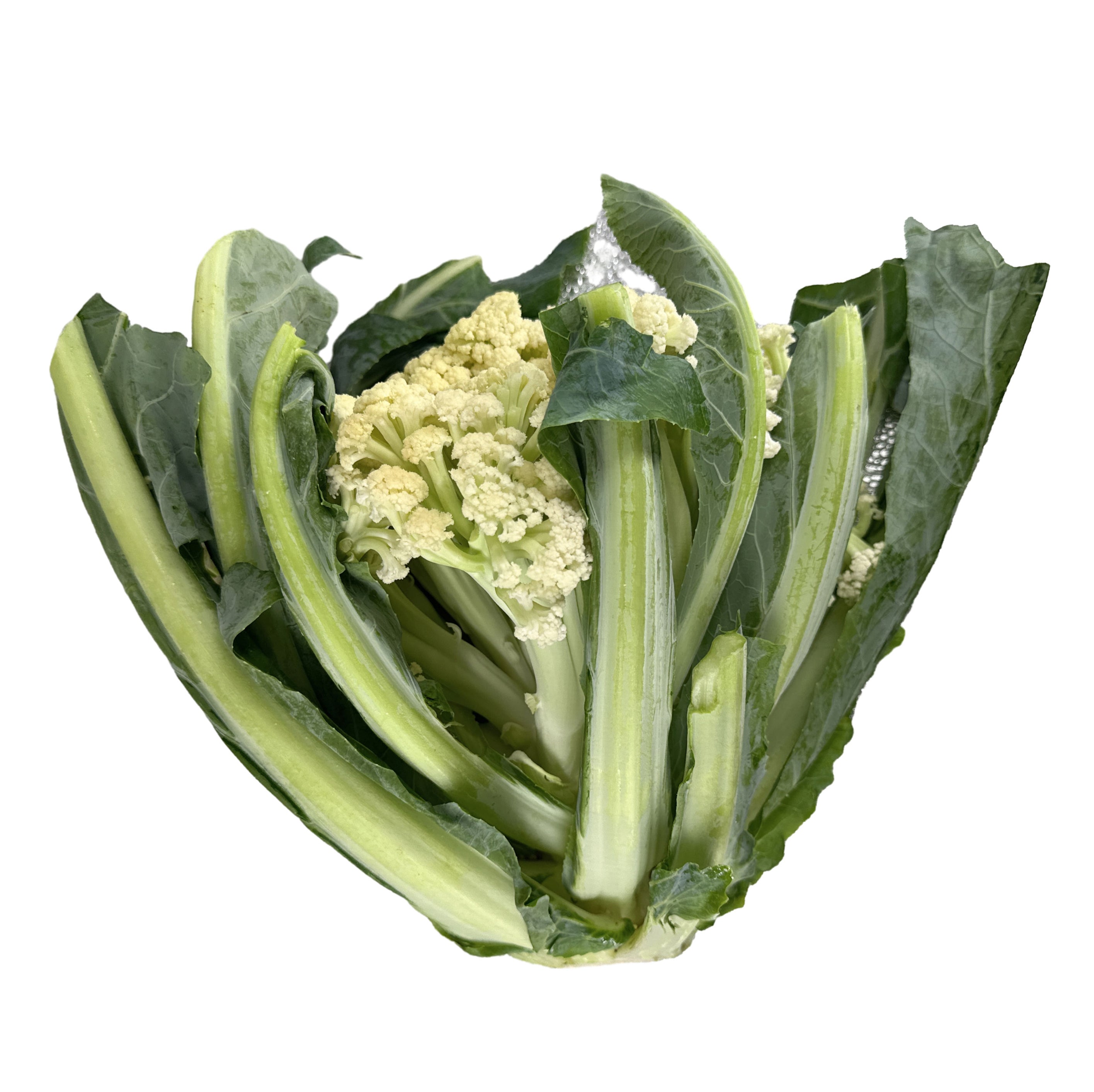 [Fresh]-Organic-Chinese-Cauliflower-with-Leaves,-Whole,-1.5kg+-1