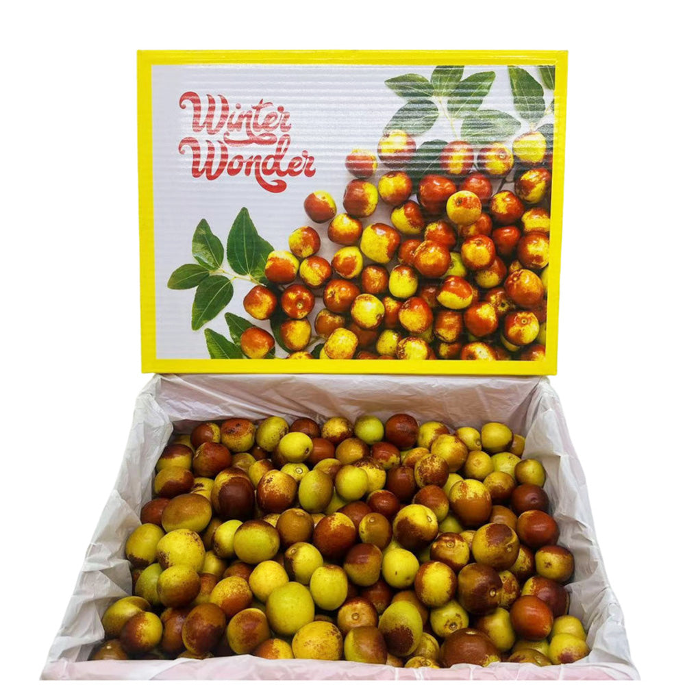 Winter Wonder Crystal Sugar Jujubes - 500g-1