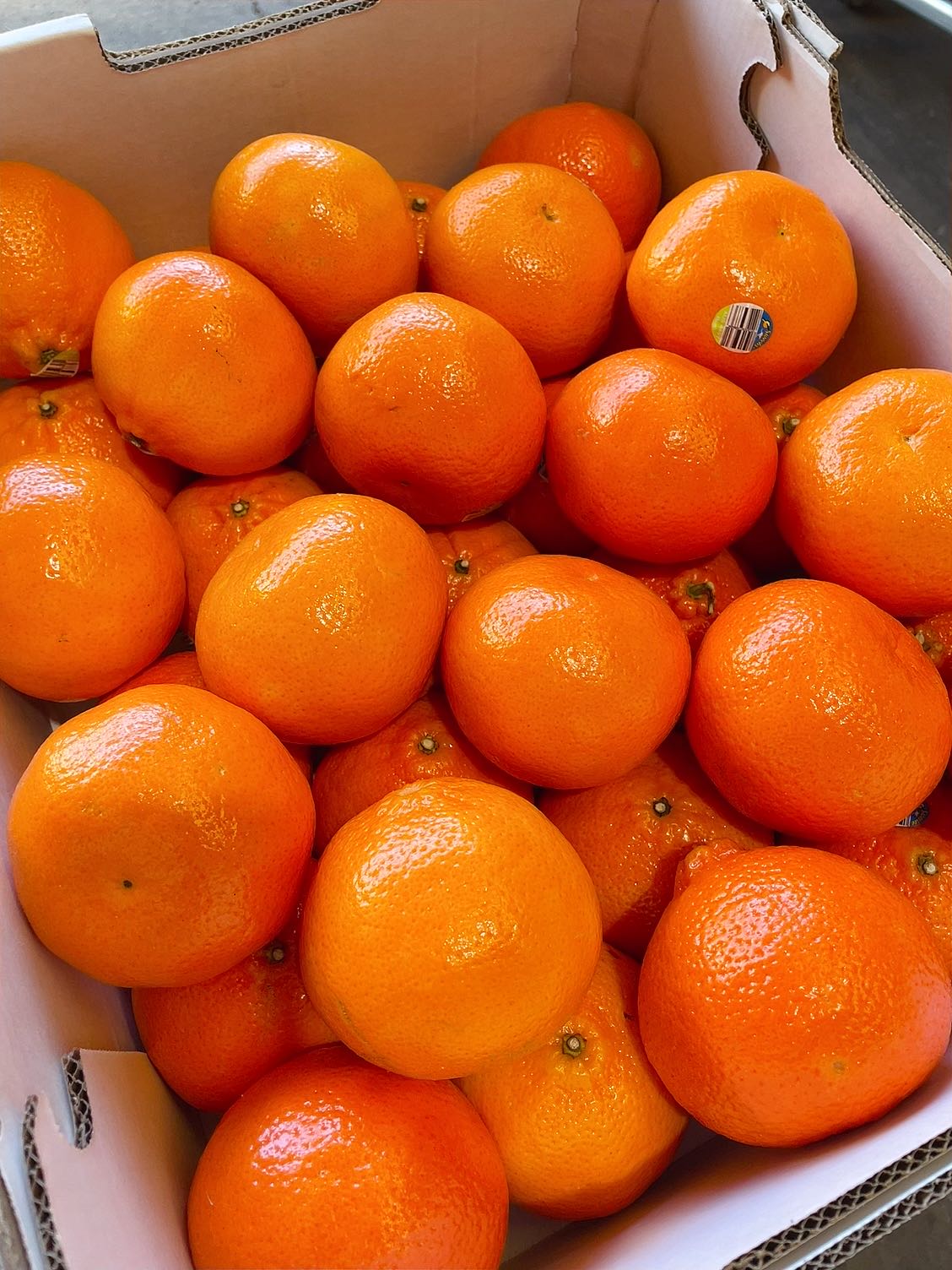 Daisy-Super-Sweet-Australian-Mandarins---1.2kg-1