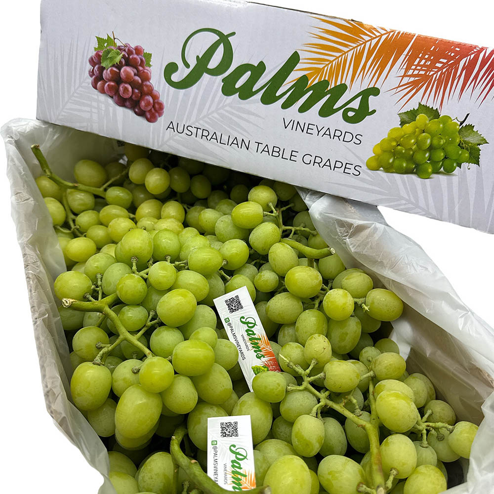 Local-Autumn-Crisp-Shine-Muscat-Grapes---900g-1