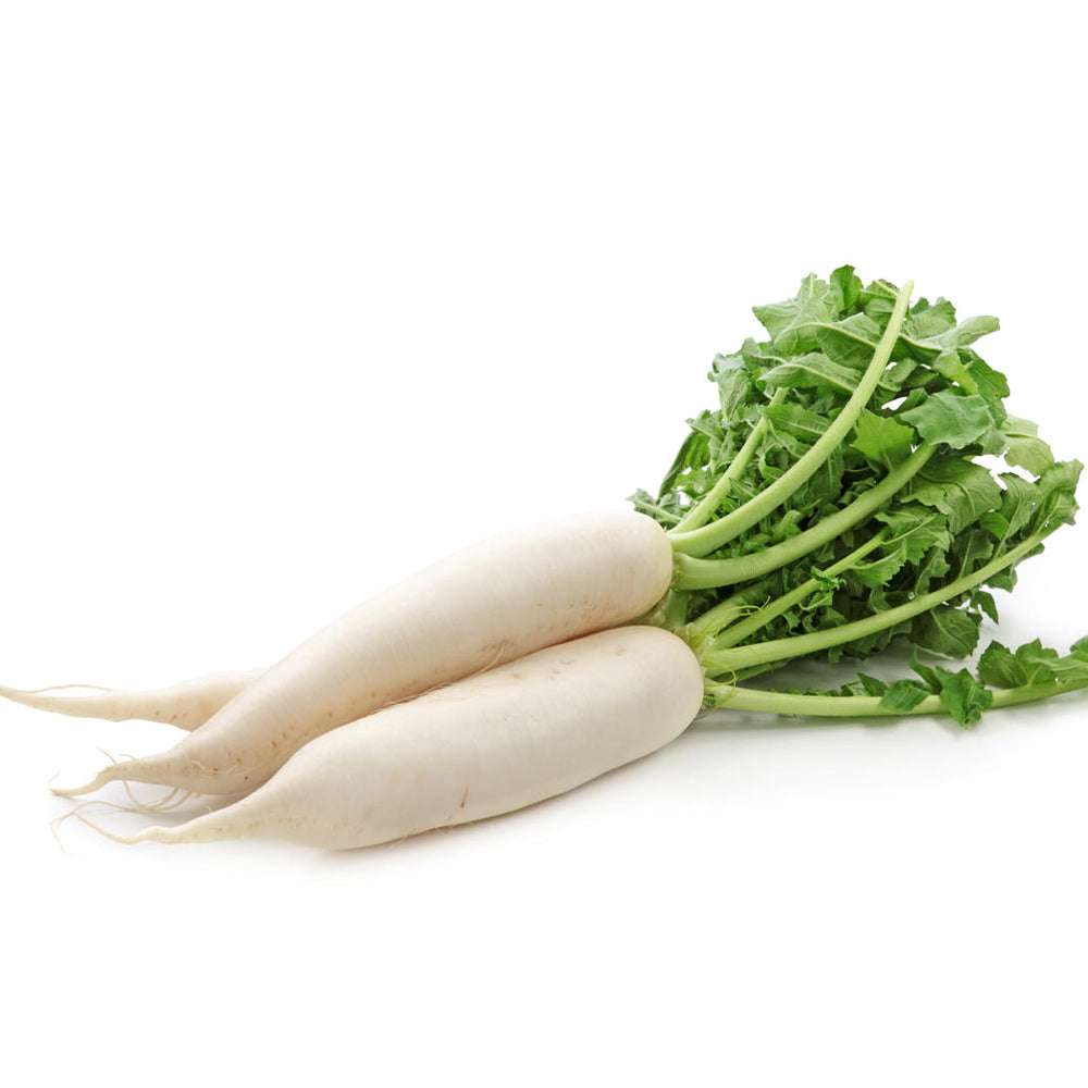 [Fresh]-Single-White-Radish-1