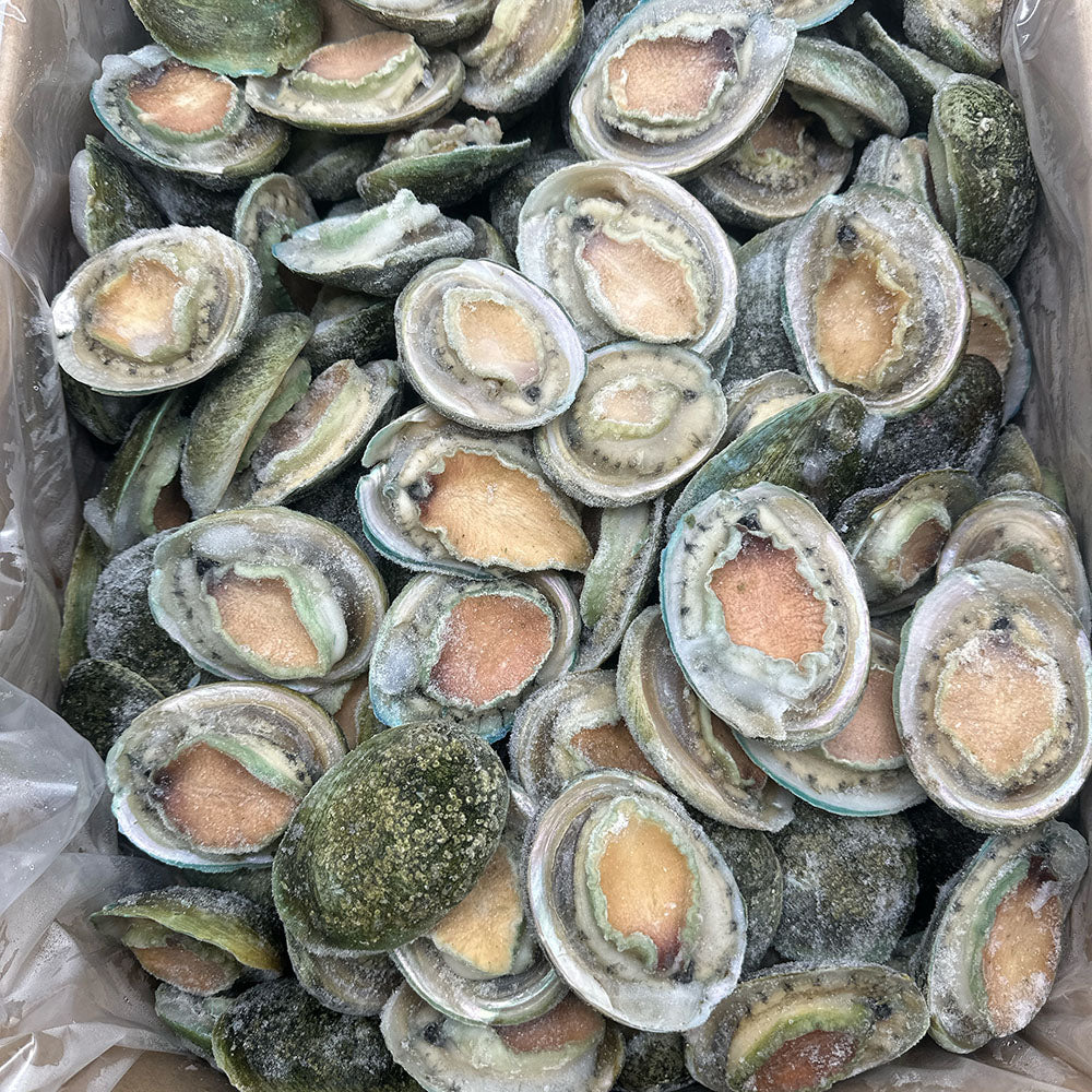 Frozen-South-Australian-Greenlip-Abalone---14-Pieces,-1kg-2