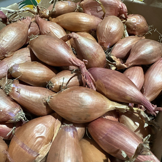 Shallots - 500g