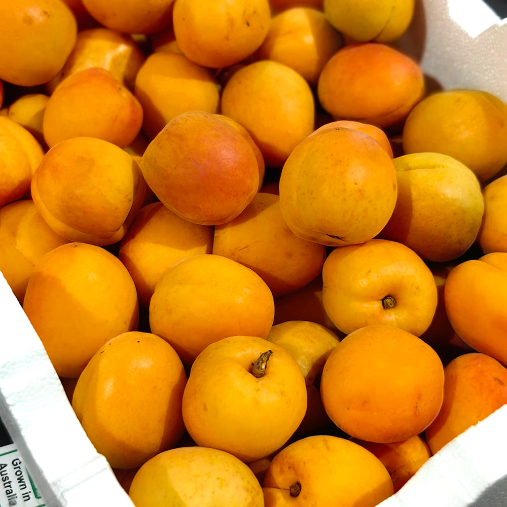 Fresh-Apricots---500g-1