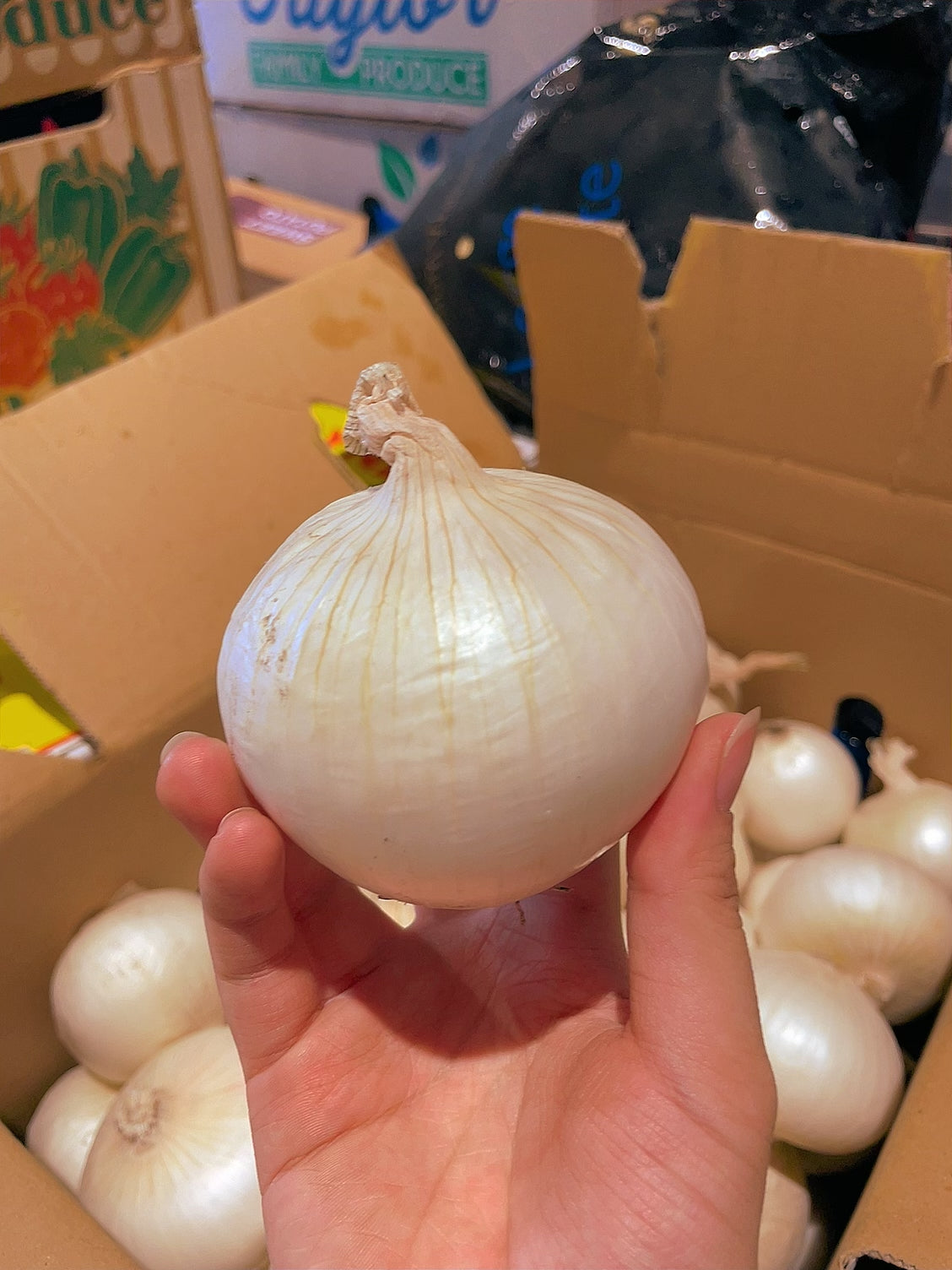 [Fresh]-White-Onions-Approximately-500g-1