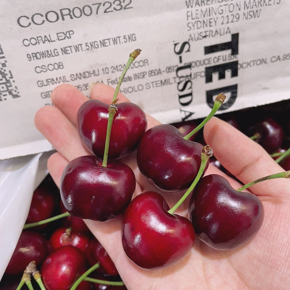 Stemilt-Beetle-Red-Cherries---500g-1