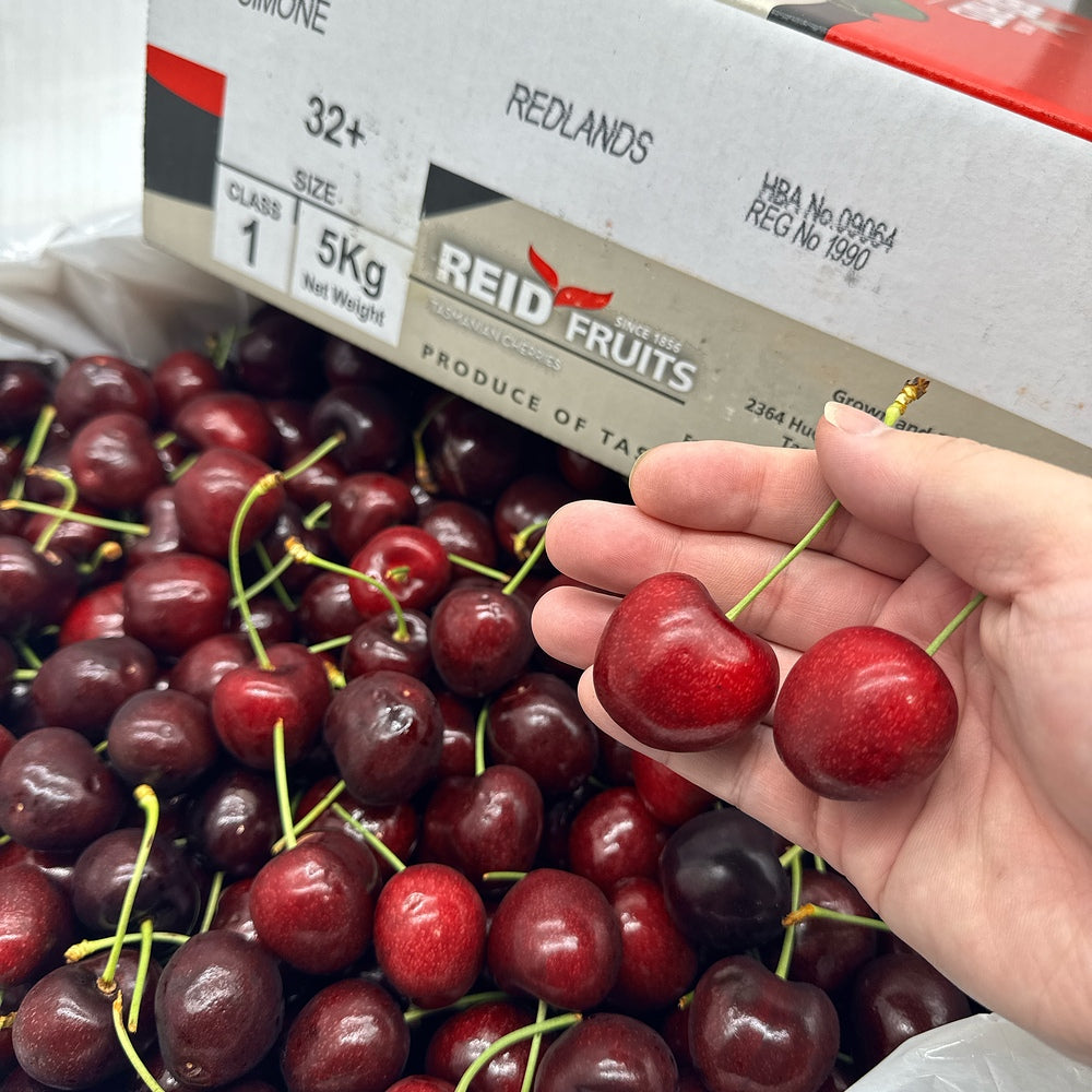 Reid-Fruits-Tasmanian-Simone-Cherries-Gift-Box---5kg-1