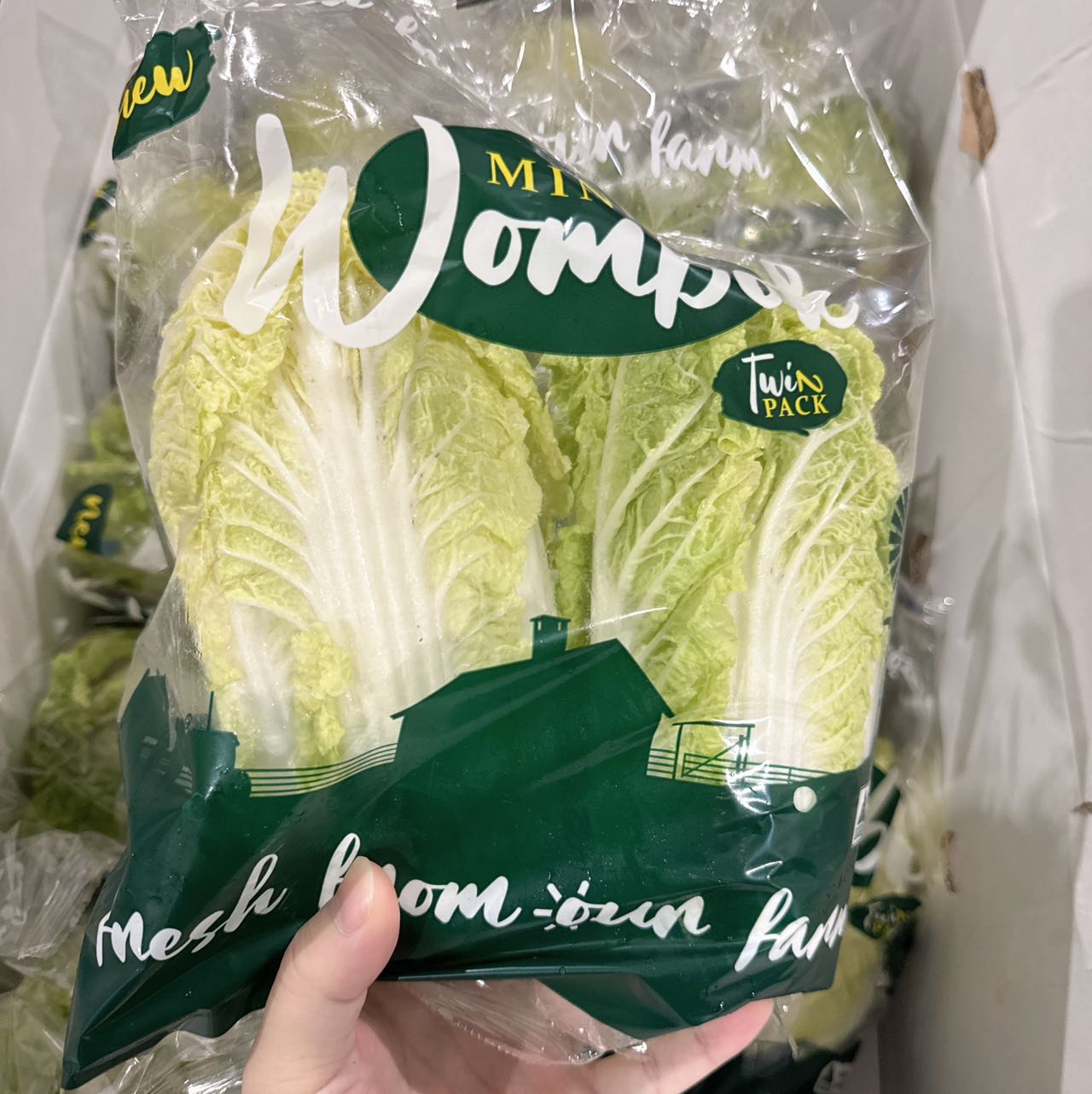 [Fresh]-Baby-Bok-Choy,-Pack-of-2-1