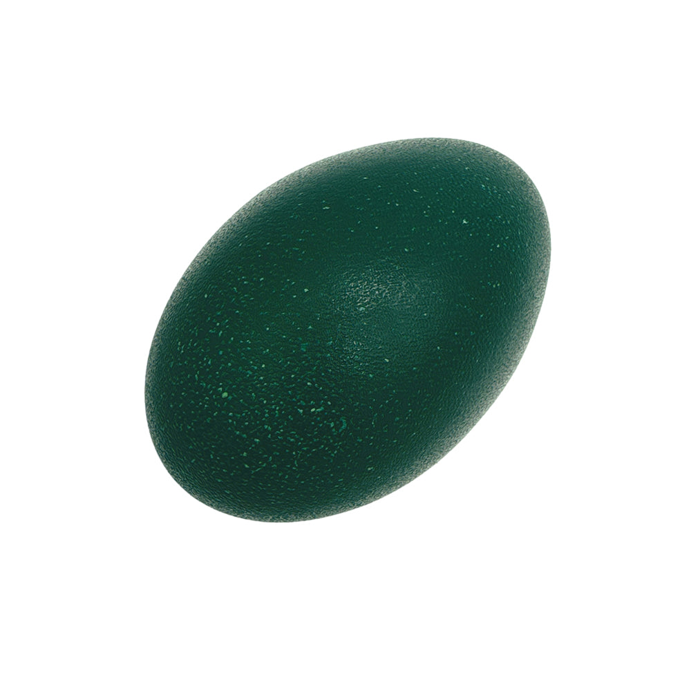 Emu-Egg---1-Piece,-Approx.-490g-1