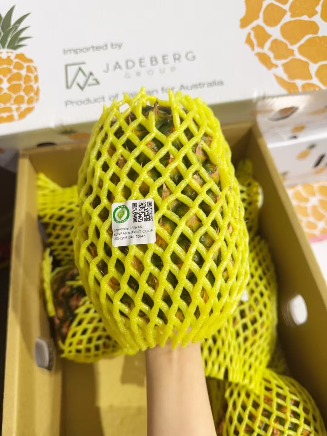 Seasonal-Limited-Taiwan-Golden-Diamond-Pineapple---Size-8,-1-Piece-1