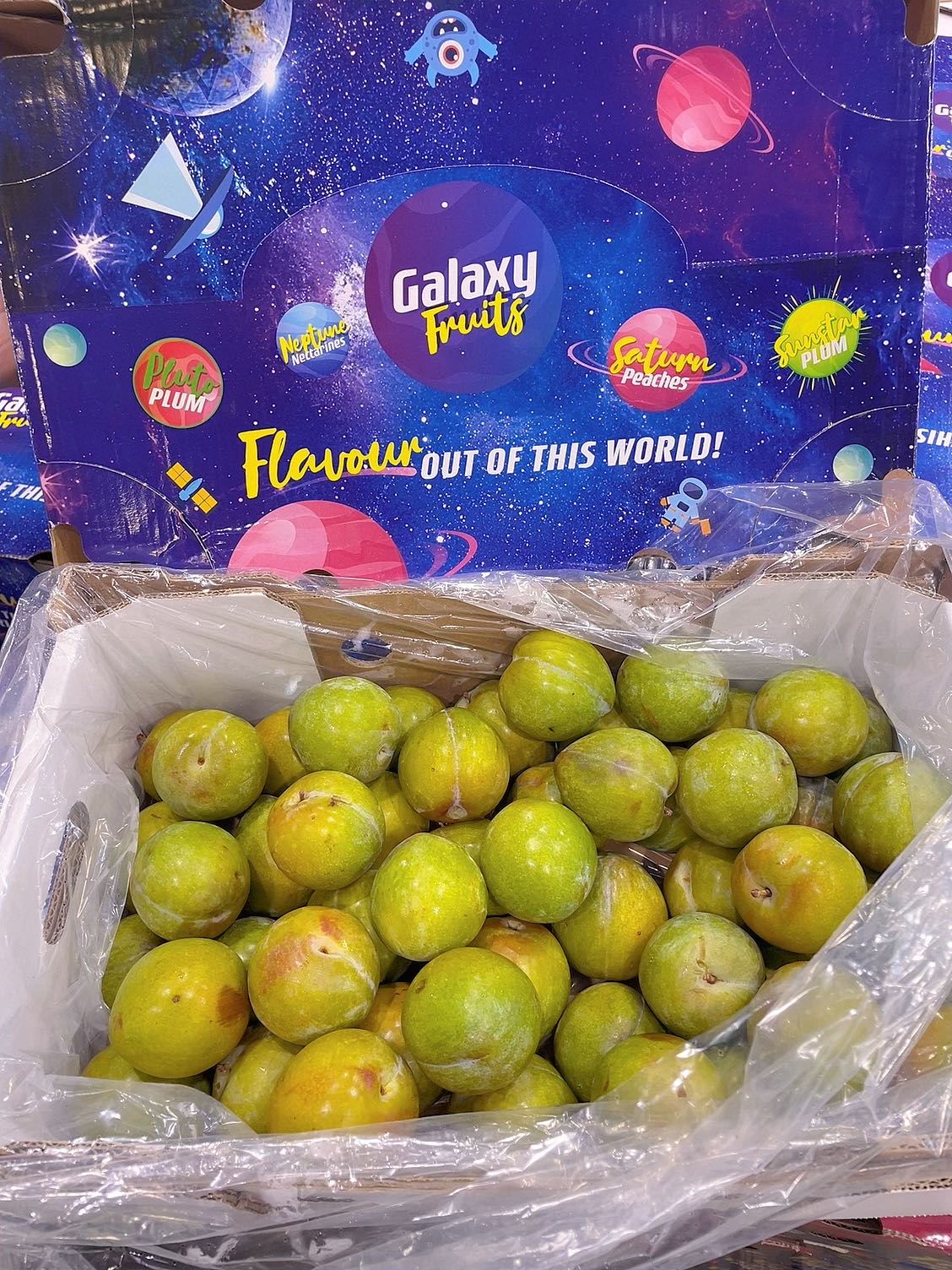 [Fresh]--Top-Grade-Galaxy-Super-Sweet-Green-Gem-Plums-(also-known-as-Honey-Sugar-Plums)---Approximately-1kg-1