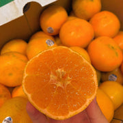 All Fruit at UMall Australia